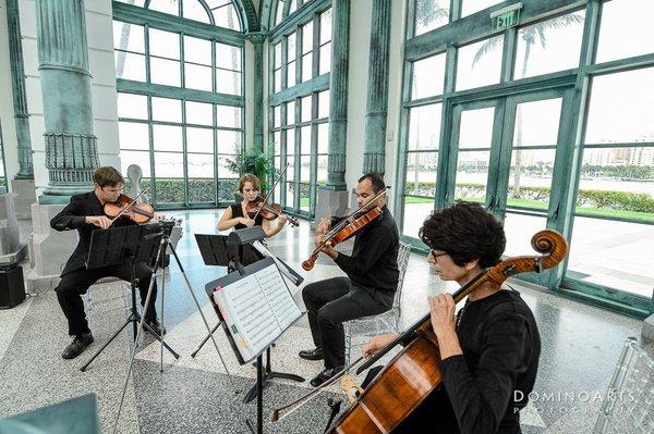 String Quartet