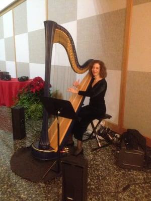 Lisa performing with her beautiful Harps.