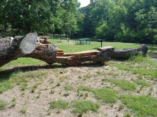 Bench carved out of an old tree trunk