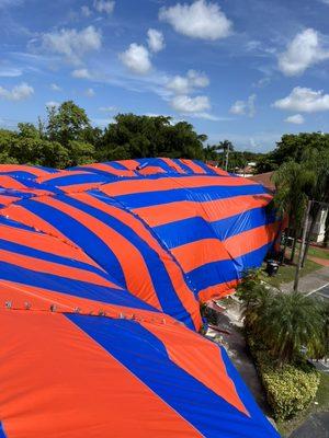 Bye Bye Termites Pest Control 
www.byebyetermitespestcontrol.com
305-244-5688 ANDY
305-525-8361 LAZARO
MIAMI'S #1 FUMIGATION TEAM