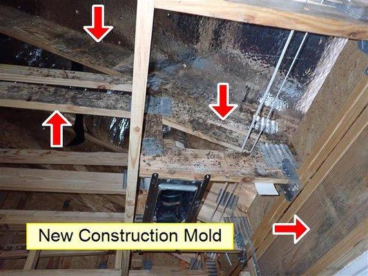 It's not uncommon to find mold on new construction framing. These areas should be properly treated prior to wall finishing is installed.