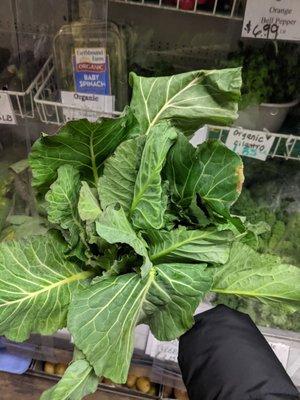 Collard greens!