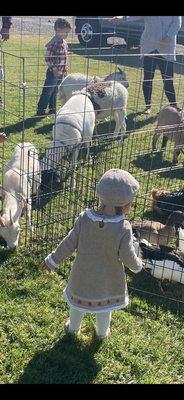 Playful Children & Silent Lambs