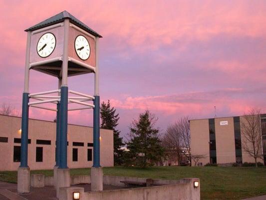 Campus on a pretty morning