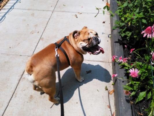 Ralph's enjoying the sun!