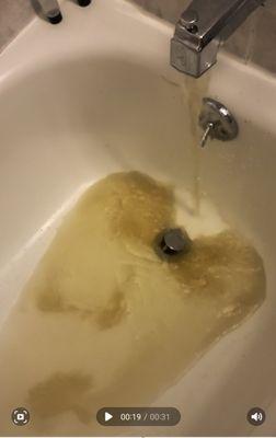 Disgusting brown water coming out of shower faucet