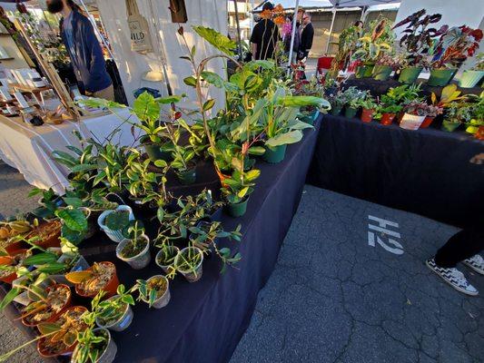 Garden At The Flea