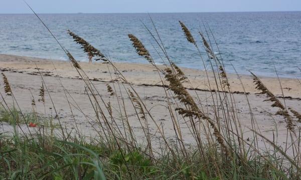 The beach, where we do Yoga classes and swim after.