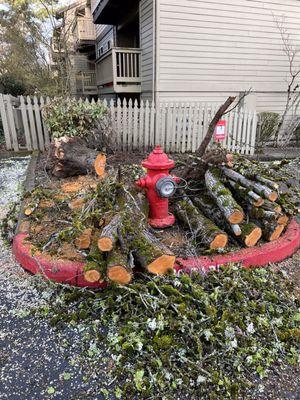 Blocked fire hydrant since Monday April 4, 2022.