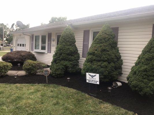 Hedge Trimming and Mulch Job