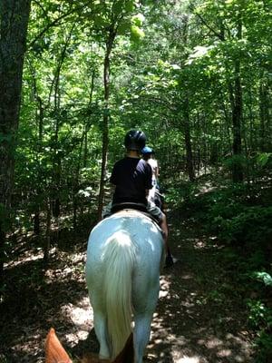 Horses were calm. Brandon was our leader & he talked to us & made us feel comfortable. Great local family owned business!!