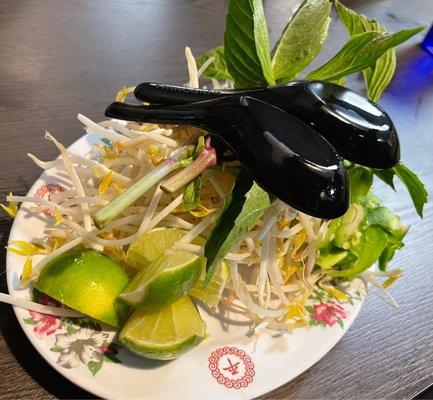 Fresh garnish for pho