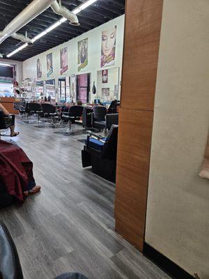 Inside the Salon