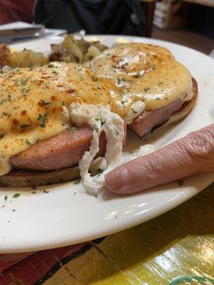 This is the eggs Benedict. My wife's index finger is for scale. Look at the thick sliced ham in there