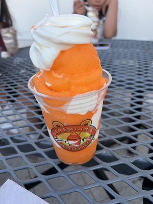 Orange ice and vanilla frozen yogurt Large