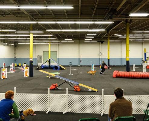 The training arena set for Agility Trials