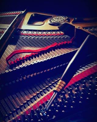 A Petrof baby grand being tuned in perfect lighting...welcome to Orpheus Piano Co.