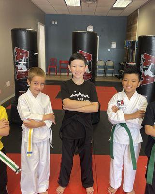 Jr. Martial Artist