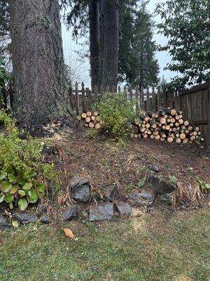 Bonnell Tree Technicians