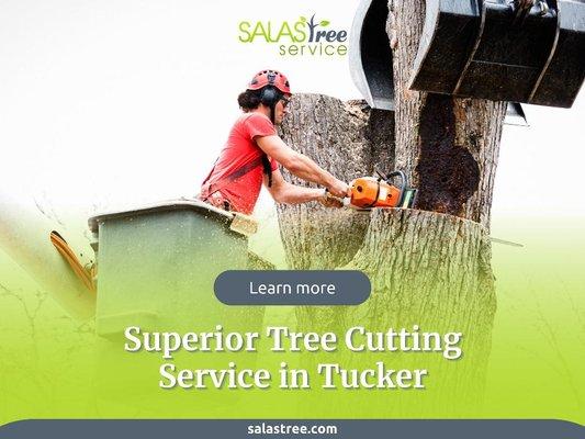 4_Salas Tree Service_Superior Tree Cutting Service in Tucker.jpg