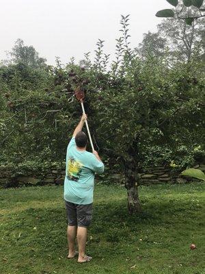 Rocky Brook Orchard