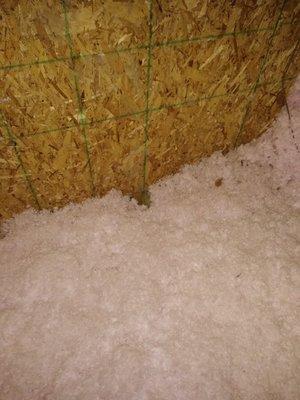 Here is a picture of some bat poop found in my attic by the inspector from Platinum Wildlife Removal.