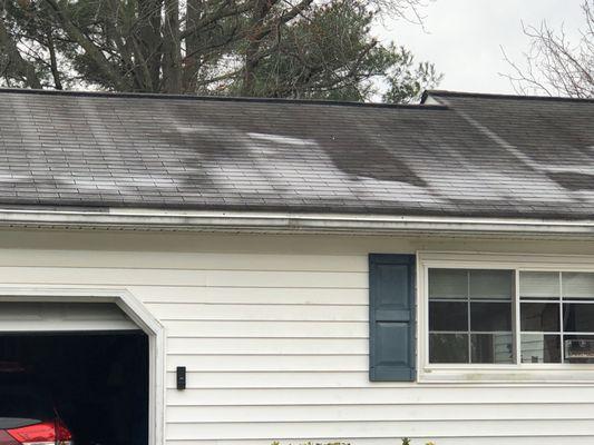 Had these guys insulate the attic above the garage