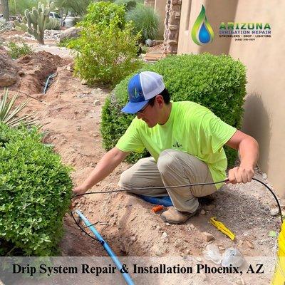 Drip system installation