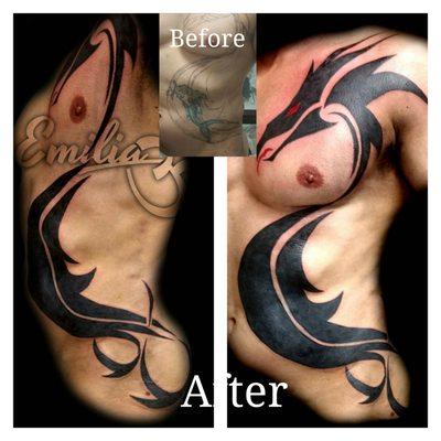 Cover up by Emilia