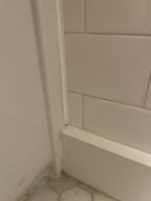 Dirt in the corner hair on the wall - this is deep cleaning?