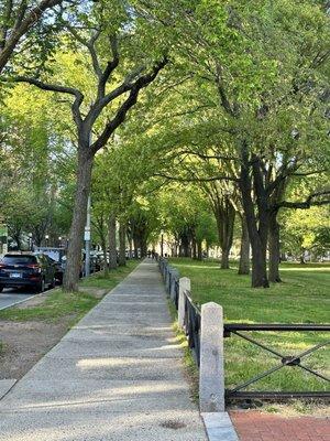 New Haven Green