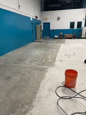 Concrete polish and restoration