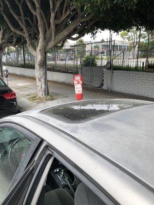 Stanyan parking space