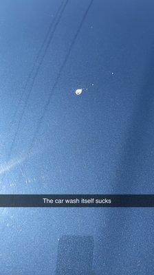 Bird poop that the car wash couldn't get off.