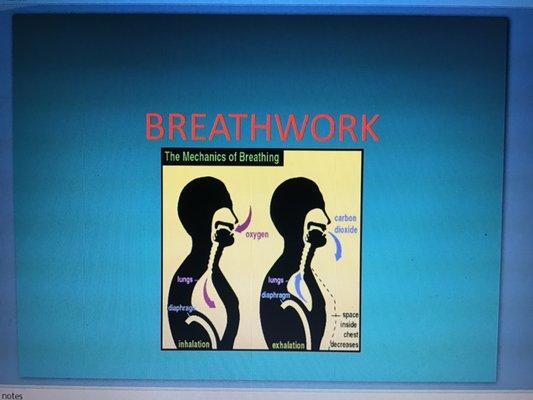 Breath Work