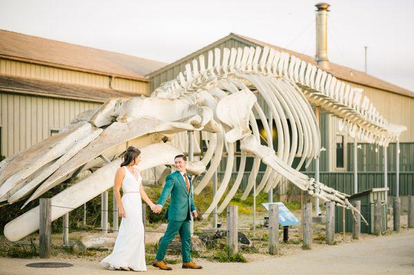 Seymour Marine Discovery Center