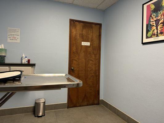 Exam room for my kitty.