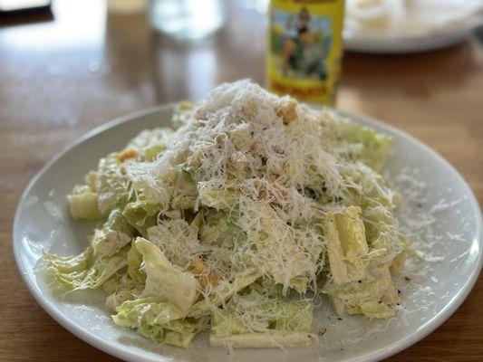 A beautifully plated Caesar salad that was also delicious!