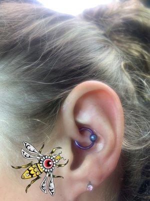 Daith piercing, titanium body jewelry