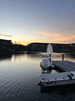 The Lake/Swan Boats