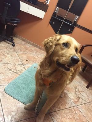 Theodore in the exam room.