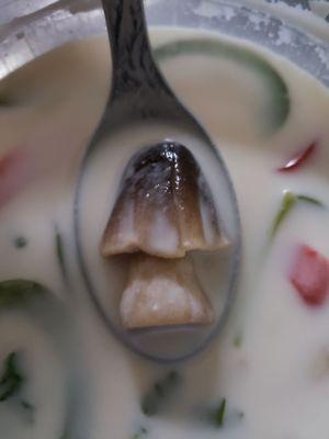 Tom Kha