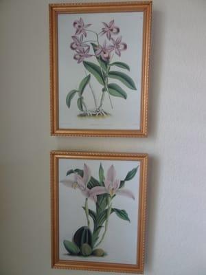 Two pretty botanical frame pictures.