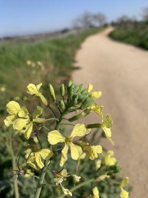 Woodward Regional Park