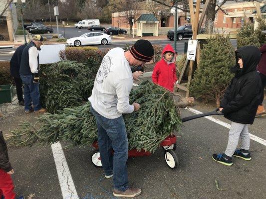 Volunteers trim, load, and tie holiday trees for families who purchase from the VHLC Tree Lot!!