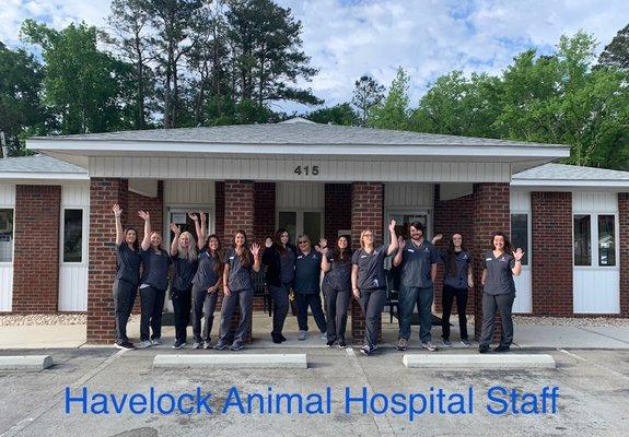 Havelock Animal Hospital