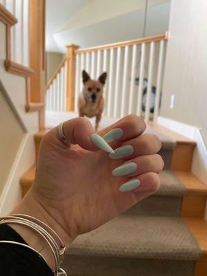 Acrylic nails and dog hehe