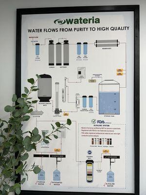 15 step purification process.