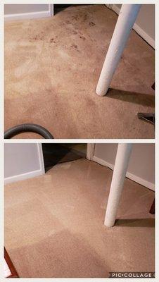 Before and after  carpet steam cleaning