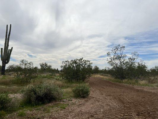 Beautiful trails